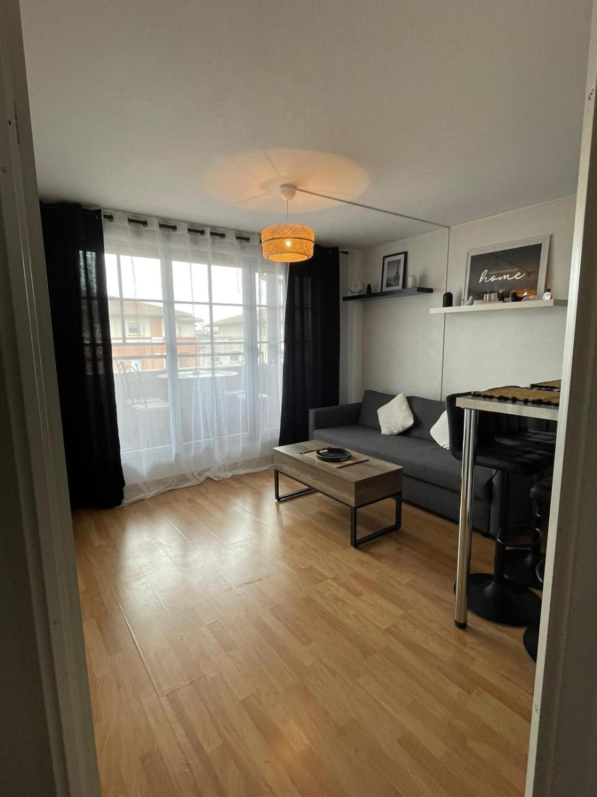 City Rose T2, Climatisation,Parking Prive, Piscine, Wifi , Tout Confort Toulouse Buitenkant foto
